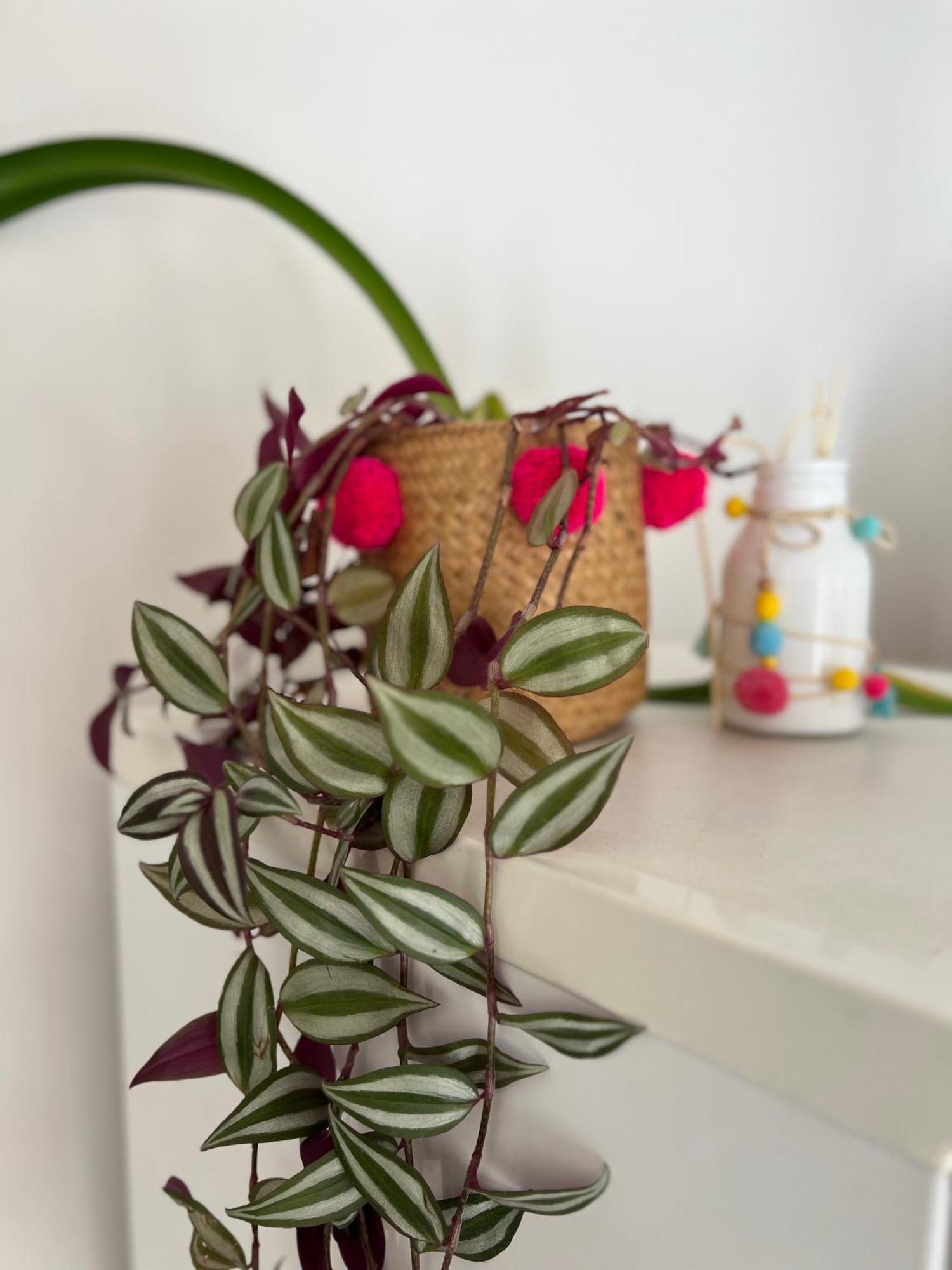 Voutee En Provence Appartement La Bastidonne