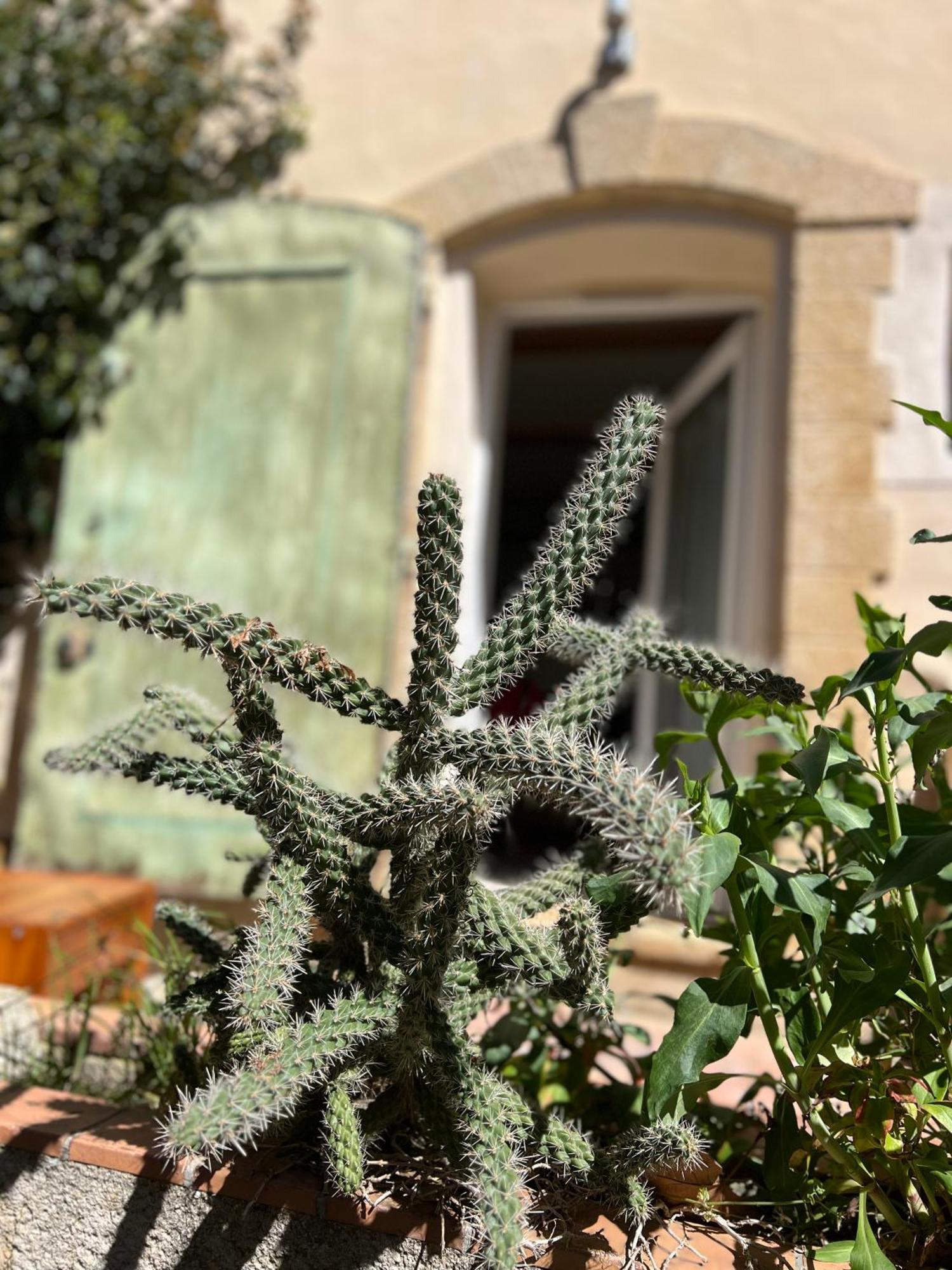 Apartment Voutee En Provence La Bastidonne